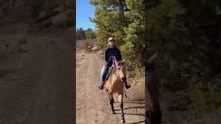 How about them horses?!    #horse #horsemanship #ranchlife #ranch #colorado #grandlake