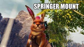 Guild Wars 2 How to Get Springer Mount