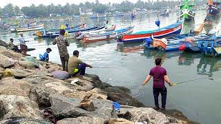 മഞ്ഞ ചെമ്പല്ലിയും വറ്റയും ചാകര വന്നുTraditional Fishing,Kerala fishing,Village Fishing,fishing tips