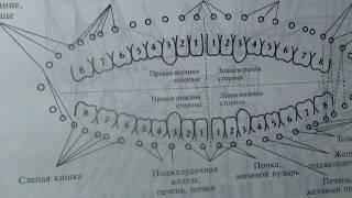 Зубы. Лечение кариеса без стоматолога.