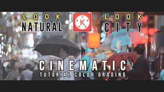 Cinematic Color Grading with Kinemaster !