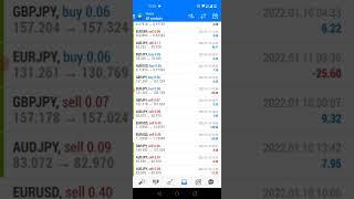 Bullionstrategy Multiple Pair Robot Last Week