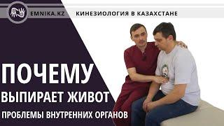 Problems of internal organs - lungs, intestines.  How to see? Kinesiology, Egor Moskalev.