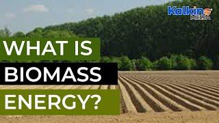 What is Biomass Energy?