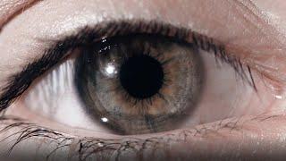 Can You Freeze Time in a Lucid Dream?