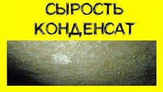 Сырость, конденсат в погребе, подвале. Способы устранения.