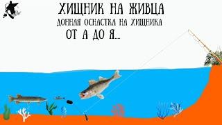 Хищник щука,судак и т.д...на живца.Живцовая донка.Уловистый монтаж для ловли с берега на живца