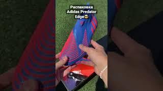 Как вам Adidas Predator Edge? Не забудь подписаться️ #бутсы #хорошиебутсы #предатор #рекомендации