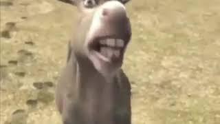 КУМЫКСКИЙ ШРЕК 