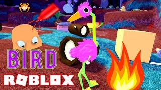 ROBLOX BIRD! WHAT IS THIS SCARY HEAD!?!?!?! & How Do I Set Things on FIRE!? Please help!