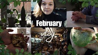 Pagan VLOG: Magical & Mundane Moments of February