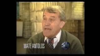 1994 Ethnic Business Awards Finalist   Mate Antolos   Pacific Textiles