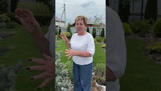 НЕОБЫЧНОЕ РЕШЕНИЕ ДЛЯ ДЕКОРА САДА