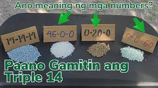 Paano Gamitin ang Triple 14 | Detalye ng NPK, 46-0-0, 0-20-0, 0-0-60