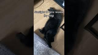 HONEST Finalmouse Starlight Pro TENZ Review