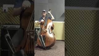 Sir Duke, Stevie Wonder (Libor Heřman - kontrabas, double bass)