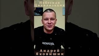 Бог в разуме. Андрей Яковишин.