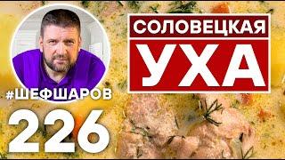 СОЛОВЕЦКАЯ УХА. РЫБНЫЙ СУП. РУССКАЯ КУХНЯ.