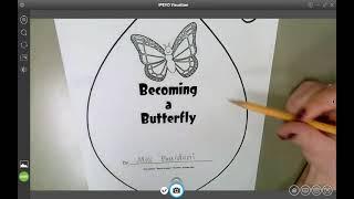 Social Science- Egg to Butterfly for Apr. 28th