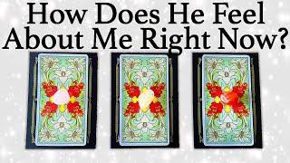 WHAT DOES HE/SHE THINK AND FEEL ABOUT ME RIGHT NOW?| Pick A Card | Love Tarot Reading (Timeless)