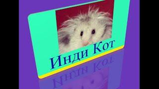 705 уровень   Инди кот