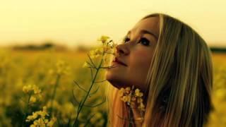 Perfect Peace - Laura Story - with Lyrics