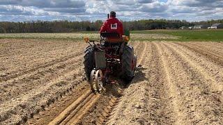 Planting Silver Queen Corn 