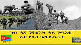 EMNA1 ካብ ሓደ ንዓሰርተ፡ ሓደ ንሚእቲ፡ ኣብ ጸባብ ዓውደ ኩናት ERITREAN HISTORY AND CULTURE