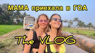 The VLOG! МАМА ПРИЕХАЛА В ГОА! День с МАМОЙ на Кериме