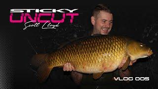 Scott Lloyd | Vlog - 005 | Sticky Uncut | Carp Fishing