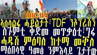 ሰበር ዜና፡ኣሰላልፋ ሓይልታት፣TDF ንኦፕሬሽን፣ስጉምቲ ቅድመ መጥቃዕቲ፣ግፋ፣ሓዱሽ ምዕባለ ከተማ መቐለ፣ማዕበላዊ ዓመፅ ንምእላይ ጌታቸው