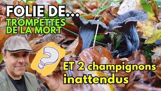 TROMPETTES DE LA MORT EN FOLIE ET 2 SURPRISES INATTENDUES  #champignons #nature #cepes