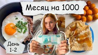 Месяц на 1000₽. День 1 - 2. Пытаюсь прожить на тысячу в России 2024. Закупка, экономные рецепты.