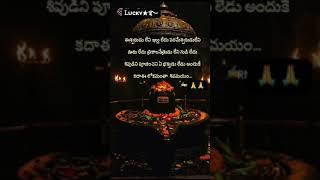 my status my status ᵛ͢ᵎᵖ𝄟 ≛⃝ꮮᴜᴄᴋʏ ≛⃝⎳𝓸𝓿𝓮