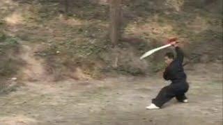 Chen ZiQiang Taiji Double Broadswords 42 Postures Routine