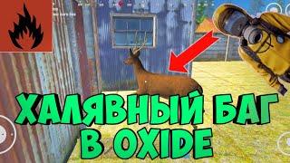 oxide survival island фишки! БАГ С ЖИВОТНЫМ В ОКСАЙД! oxide баги 2024!?