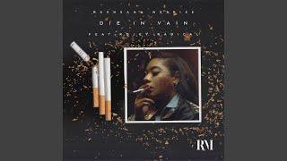 Die In Vain (Radio Edit)