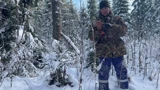 Первая проверка капканов на Соболя. Добавляю еще ящики на новом путике.