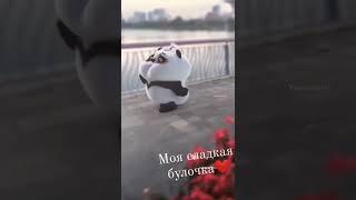 моя сладкая булочка 