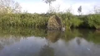 MOTORISED BIRD HIDE BOAT WITH LARGE CAMERA GREAT IDEA