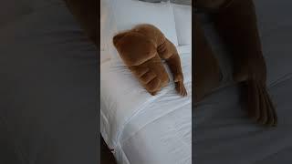 Where has this been?  Links in Comments. #amazonhaul #amazonfinds #bedroom #amazon #fyp