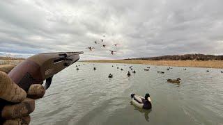 Public Land Solo Duck Hunting the River! (Catch and Cook)