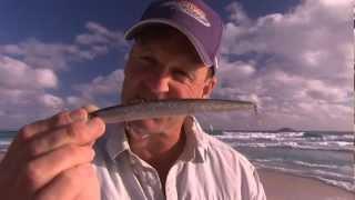 Fishing Australia 2012 Rapala Max Rap Review