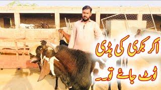 کیا ٹوٹی ہوئ ہڈی  کا کوئ علاج ہے ۔ ustad farhan gujjar