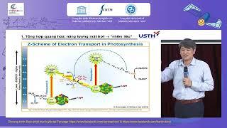 Hydro - Một "nhiên liệu" thân thiện môi trường?