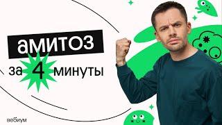 Что такое амитоз? | ЕГЭ биология | Вебиум