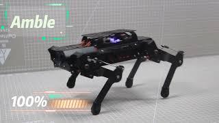 Quadruped Robot Amble Hiwonder PuppyPi