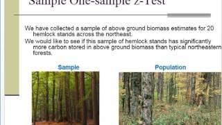 One Sample z test condensed