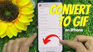 How to Convert Live Photos to GIF on iPhone