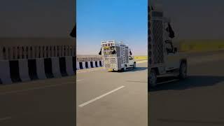 rajasthani dj song video #shorts #dj #video #rajasthan #youtube #india